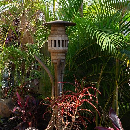Lotus Suite, 1 Bedroom, Sleeps 4, Pool & Bbq, Pre-Renovation Summer Sale Kīhei Exterior foto