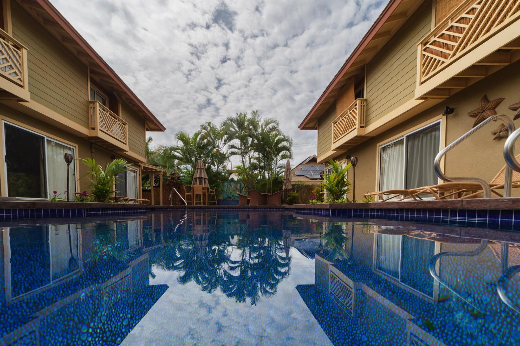 Lotus Suite, 1 Bedroom, Sleeps 4, Pool & Bbq, Pre-Renovation Summer Sale Kīhei Exterior foto