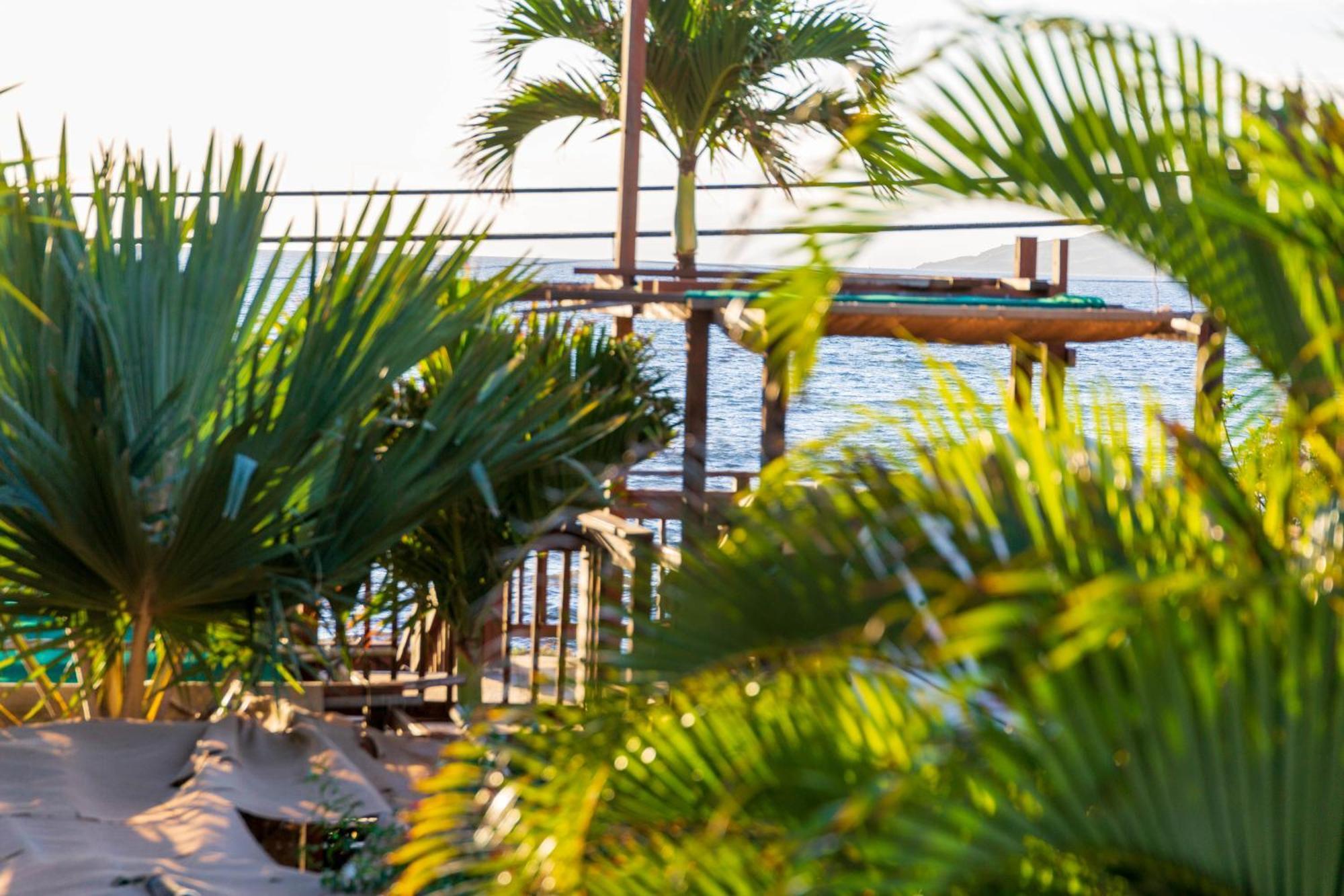 Lotus Suite, 1 Bedroom, Sleeps 4, Pool & Bbq, Pre-Renovation Summer Sale Kīhei Exterior foto